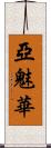 亞魅華 Scroll