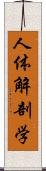 人体解剖学 Scroll