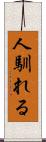 人馴れる Scroll