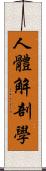 人體解剖學 Scroll