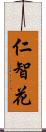 仁智花 Scroll