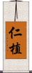 仁植 Scroll