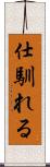 仕馴れる Scroll