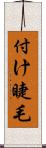 付け睫毛 Scroll