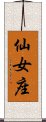 仙女座 Scroll