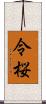 令桜 Scroll