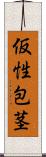 仮性包茎 Scroll