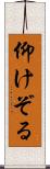 仰けぞる Scroll