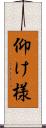 仰け様 Scroll