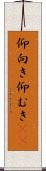 仰向き Scroll