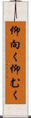 仰向く Scroll