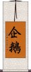 企鵝 Scroll