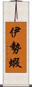 伊勢蝦 Scroll