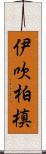 伊吹柏槙 Scroll