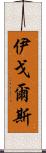 伊戈爾斯 Scroll