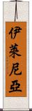 Ylenia Scroll