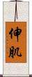 伸肌 Scroll