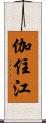 伽住江 Scroll