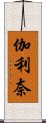 伽利奈 Scroll