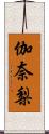 伽奈梨 Scroll