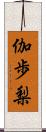 伽歩梨 Scroll