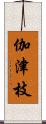 伽津枝 Scroll