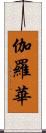 伽羅華 Scroll