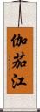 伽茄江 Scroll