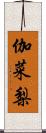 伽菜梨 Scroll