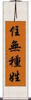 住無種姓 Scroll