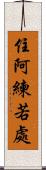 住阿練若處 Scroll