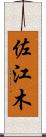 佐江木 Scroll