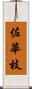 佐華枝 Scroll