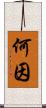 何因 Scroll