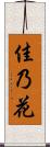 佳乃花 Scroll
