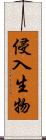 侵入生物 Scroll