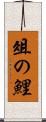 俎の鯉 Scroll