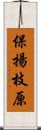 保揚枝原 Scroll