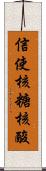 信使核糖核酸 Scroll