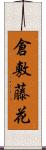 倉敷藤花 Scroll