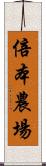 倍本農場 Scroll