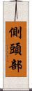 側頭部 Scroll