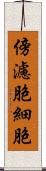 傍濾胞細胞 Scroll