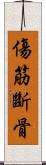 傷筋斷骨 Scroll