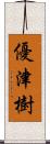 優津樹 Scroll