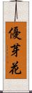 優芽花 Scroll