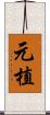 元植 Scroll