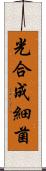 光合成細菌 Scroll