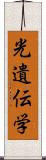 光遺伝学 Scroll