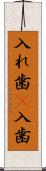 入れ歯(P) Scroll
